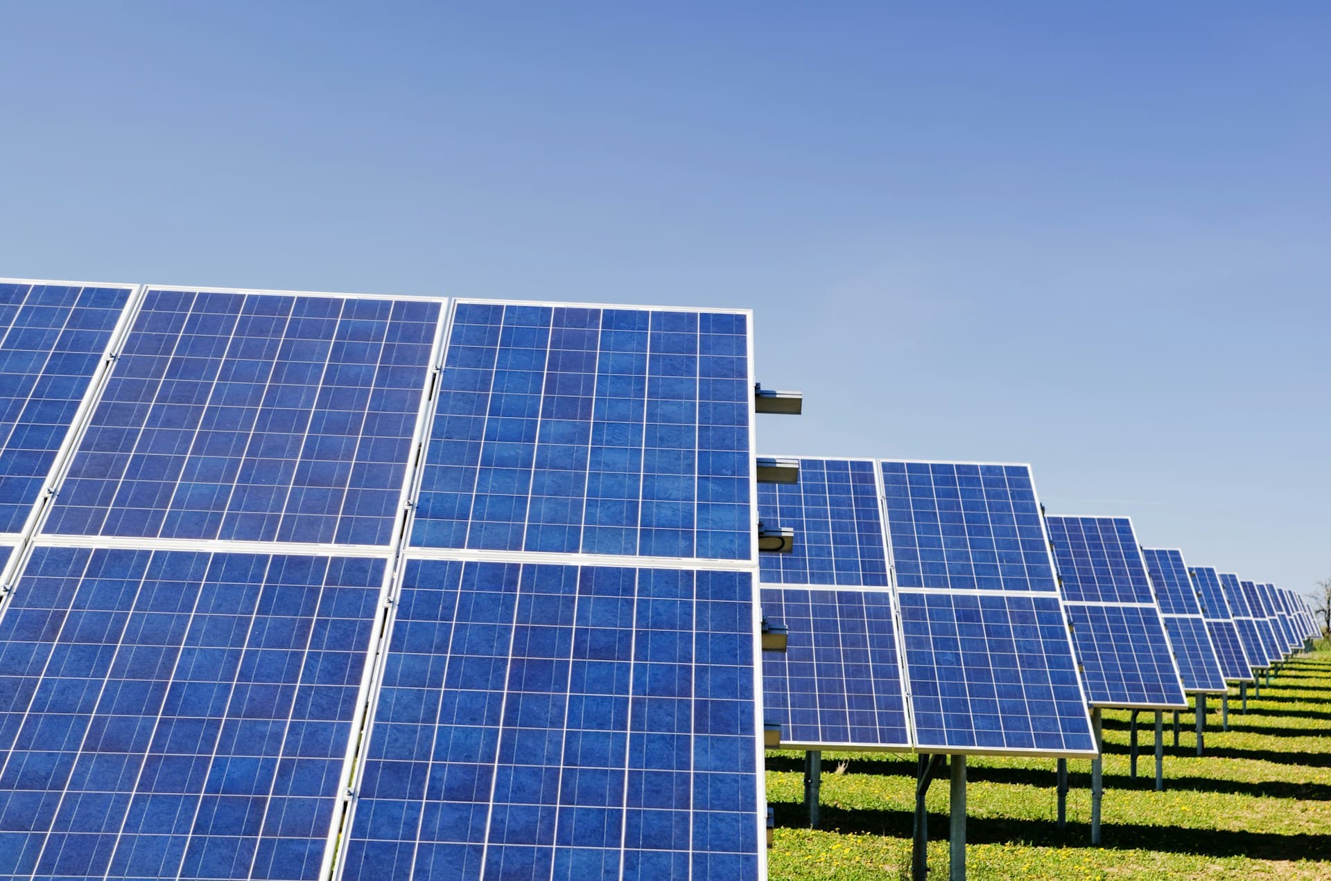 EcoCorp's sustainable office with solar panels